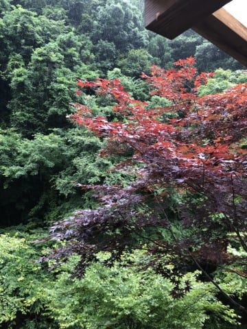 社内研修に行ってきました。