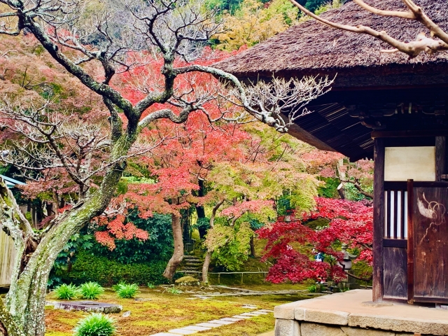 北鎌倉の古民家と紅葉