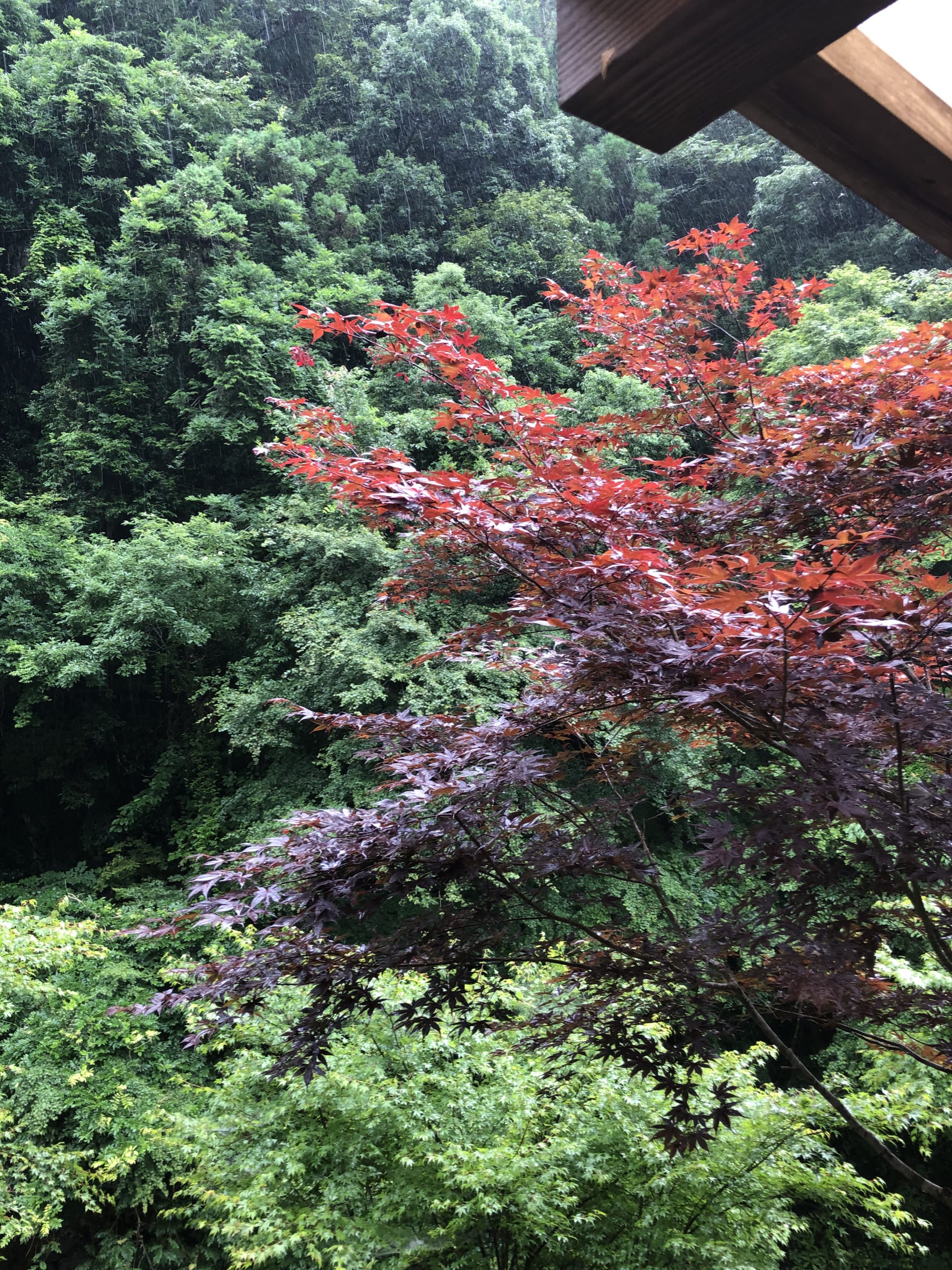研修施設画像